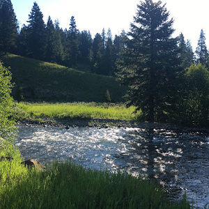 Meet your Posher, Matt